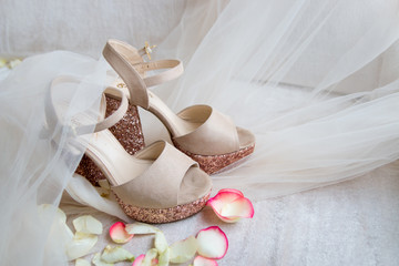 shiny gold shoes on a light tulle in rose petals