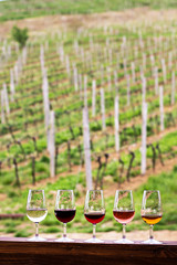 Glasses with wine. Red, pink, white wine in glasses.