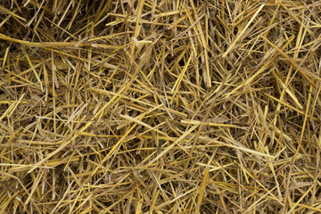 haulm, background texture