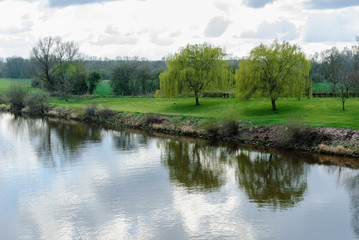 Fototapeta na wymiar Zwei Weiden am Flussufer mit zarten, hellgrünen Blättern am Frühlingsanfang