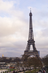 Fototapeta na wymiar Eiffel Tower In The City Of Paris