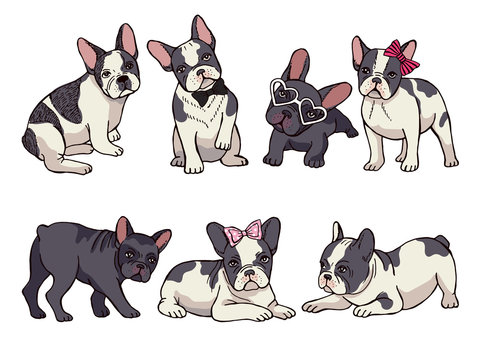 Illustrations set of cute little French bulldog. Funny pictures of puppy