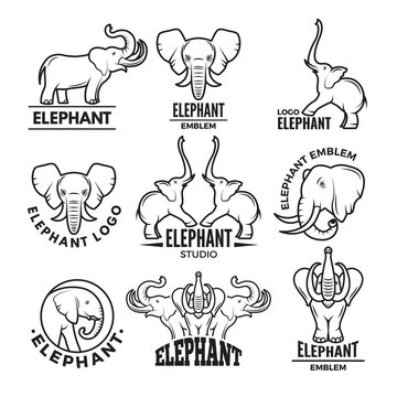 Logo templates with pictures of african elephant
