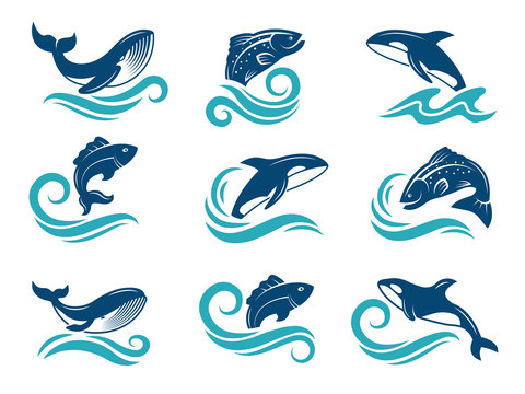 Stylized pictures of marine animals. Sharks, fishes and others. Symbols for logo design