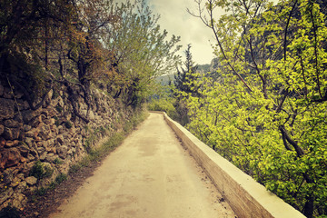 Fototapeta na wymiar Path in Qadisha Valley North Lebanon during Spring , Forest Path