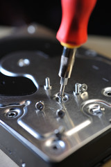 
Screwdriver unscrews the clamp of the hard drive close up.