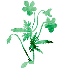 isolated watercolor silhouette plant