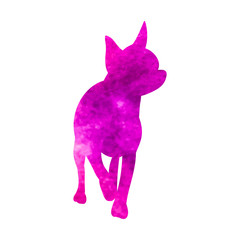  isolated watercolor silhouette of a dog