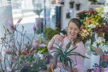 Fototapeta premium View through the window shops. Beautiful girl florist takes care of pineapple