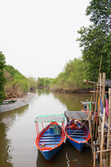Fototapeta na wymiar Fishing boat tour in the mangrove forest
