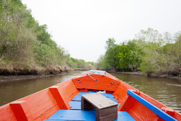 The boat is in the mangrove forest in two streams