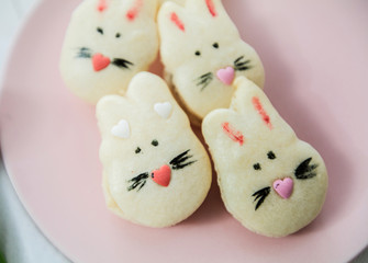 Cookies Macarons Sweet Biscuit