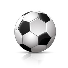 realistic soccer ball