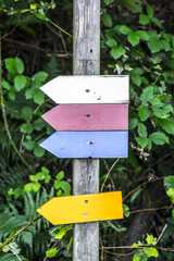 Symbols with colors and no specific information