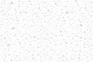 Fotobehang Vector realistic water drops condensed © kvector