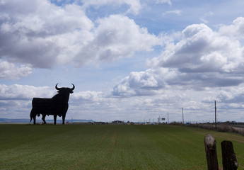 toro, silueta, españa,