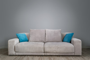 Gray living room with sofa
