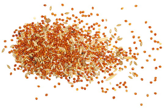 Mixed bird seed, millet pile isolated on white background, top view