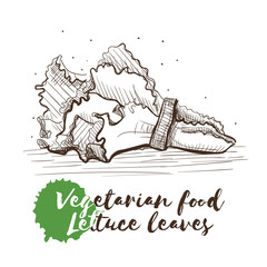 Vector hand drawn sketch of vegetarian food with food name.