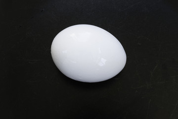 egg