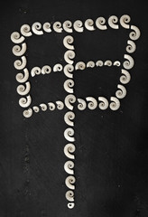 Fototapeta na wymiar chinese symbol made of shells