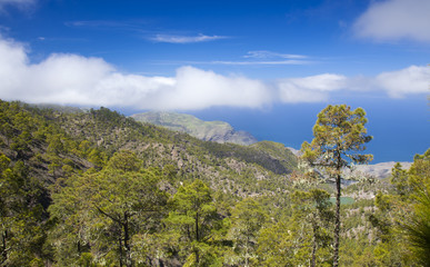 Gran Canaria, March