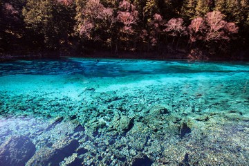  Green lake and red trees form a beautiful picture