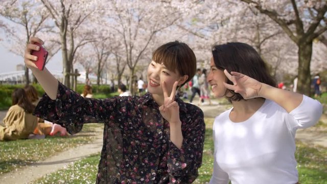 Beautiful multi-ethnic friends selfies at sakura picnic.