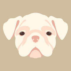 dog puppy  vector illustration front view flat style