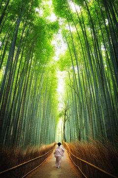 Geisha walking through the bamboo grove Kyoto