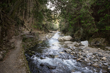 Path next to a flowing river in the mountains of Kyoto Prefecture