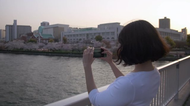 Beautiful woman taking photos of beautiful sakura from a bridge.