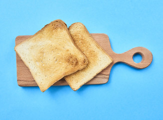 fresh  toast over blue background