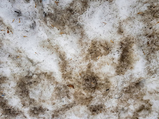 Textured surface of dirty gray snow after winter
