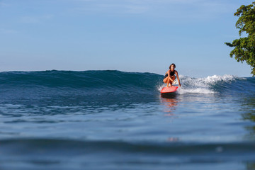 young sporty woman surfing in ocean - obrazy, fototapety, plakaty
