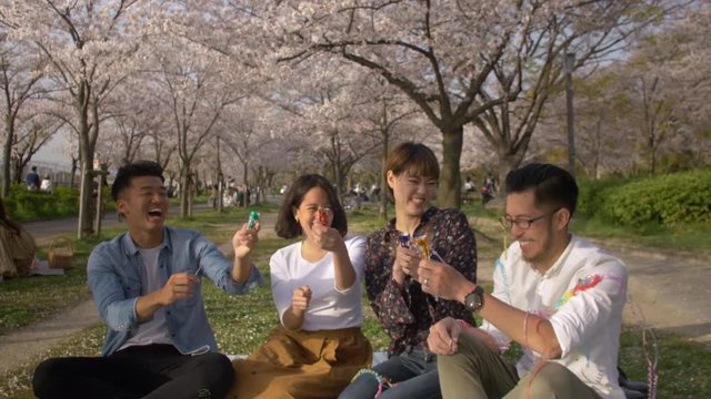 Celebrating in Japanese sakura park with International friends.