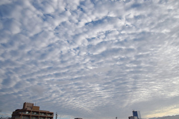 cirrocumulus clouds / うろこ雲・鱗雲