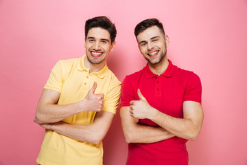 Naklejka premium Portrait of a cheerful gay male couple