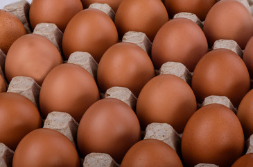 Diagonals of brown chicken eggs