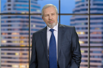 Successful senior leader of a big company. Portrait of an successful businessman in an expensive...