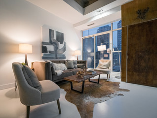 Furnished living room