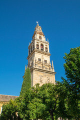 Fototapeta na wymiar a view of the bell tower of the Cathedral in Cordoba, Spain