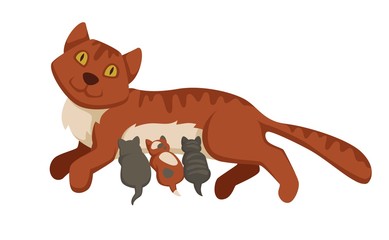 Pet cat feeding or nursing kittens babies vector cartoon icon