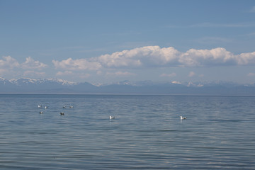 Fototapeta na wymiar The great lake Baikal, Russia
