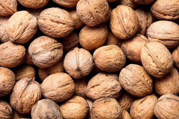 heap of walnut in shell as textured background