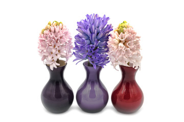 Hyazinthen in der Vase