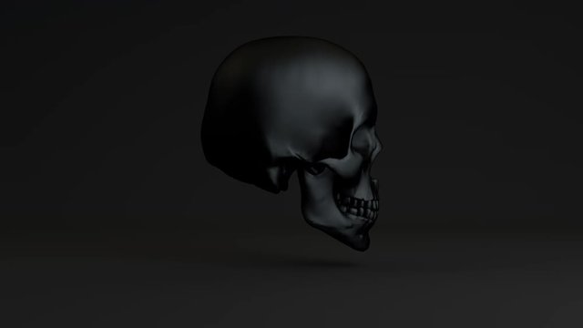 Skull 007: A spooky black skull rotates and faces camera.