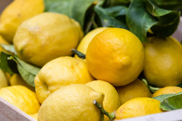 lemons in close-up