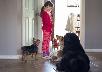 Young girl standing in a kitchen surrounded by dogs begging for food