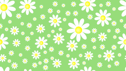 Natural spring nature seamless pattern green with white flower chamomile.